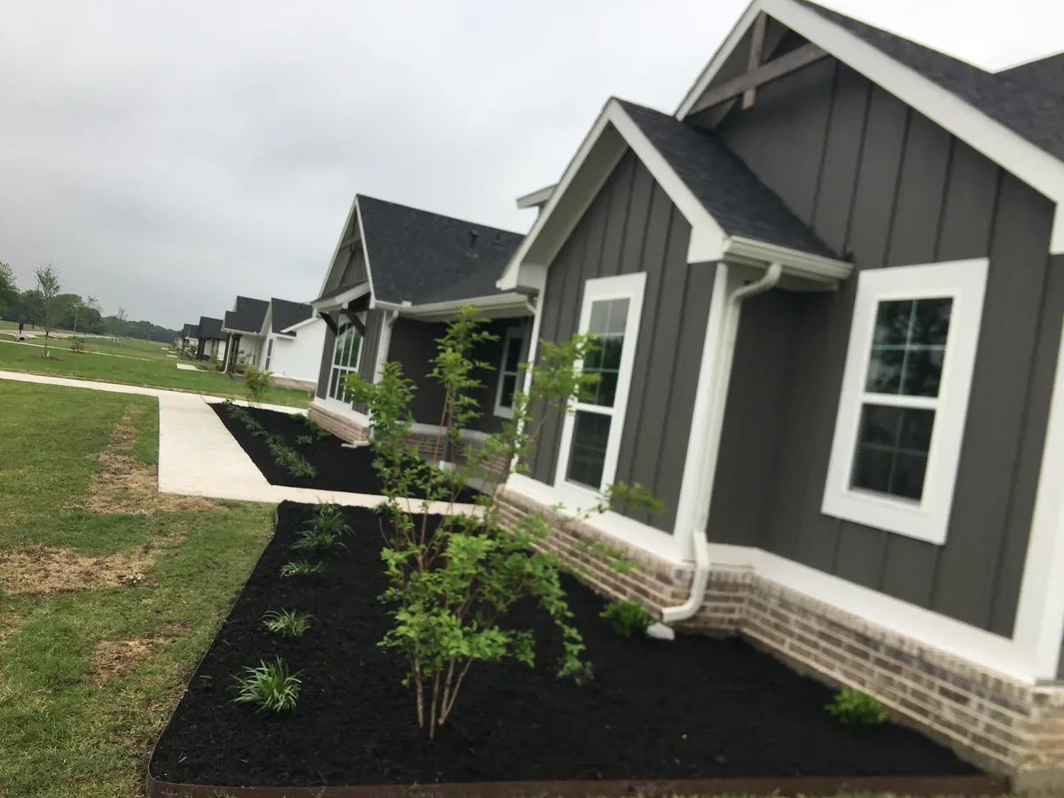 Fresh mulch bed and young tree in a front yard beside a walkway