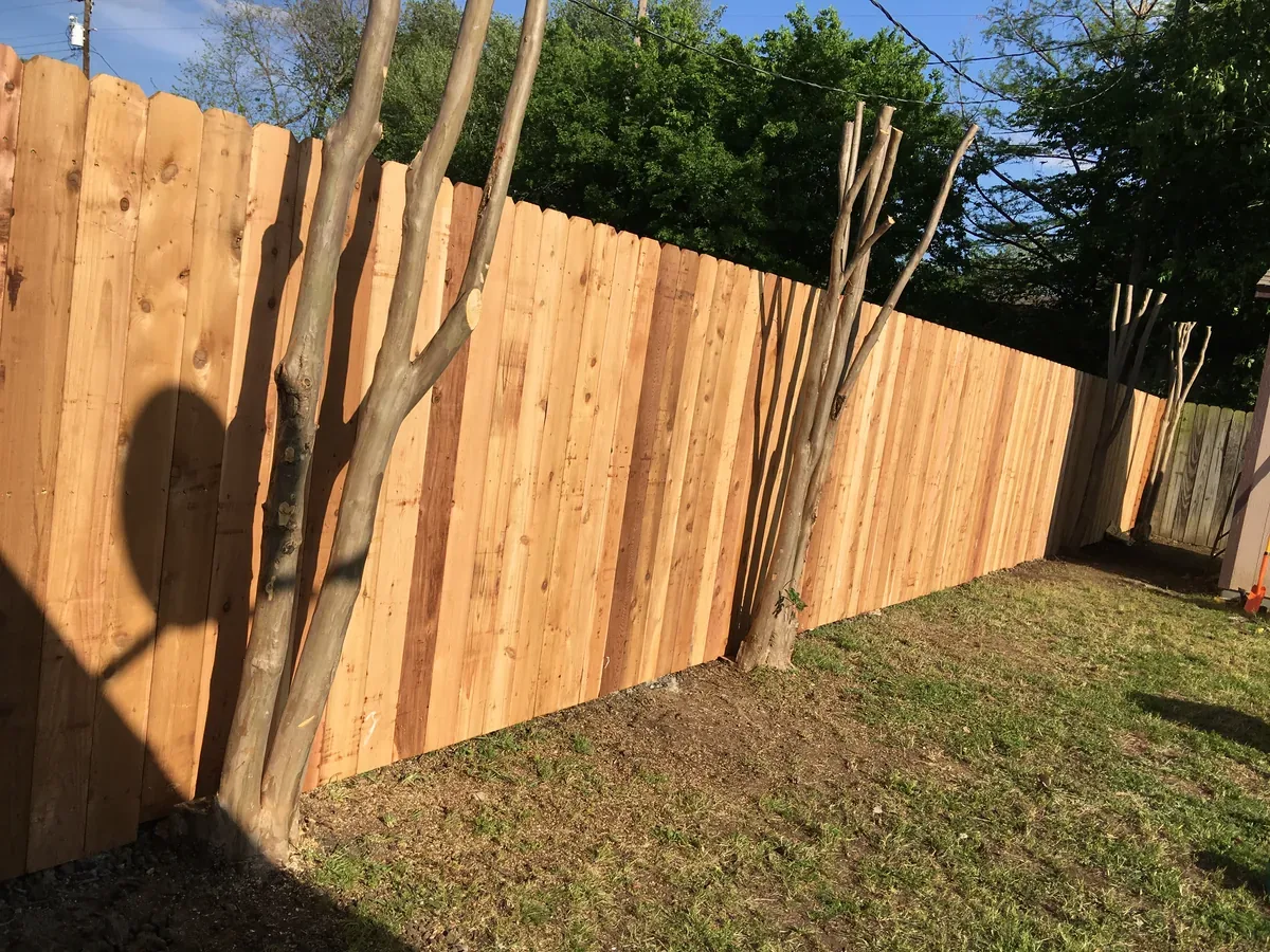 New wood fence with trimmed trees and a cleared bed after the fence install
