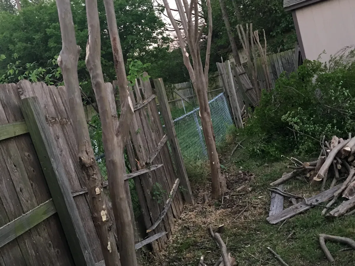 Leaning wood fence with overgrown brush and fallen limbs before the fence install