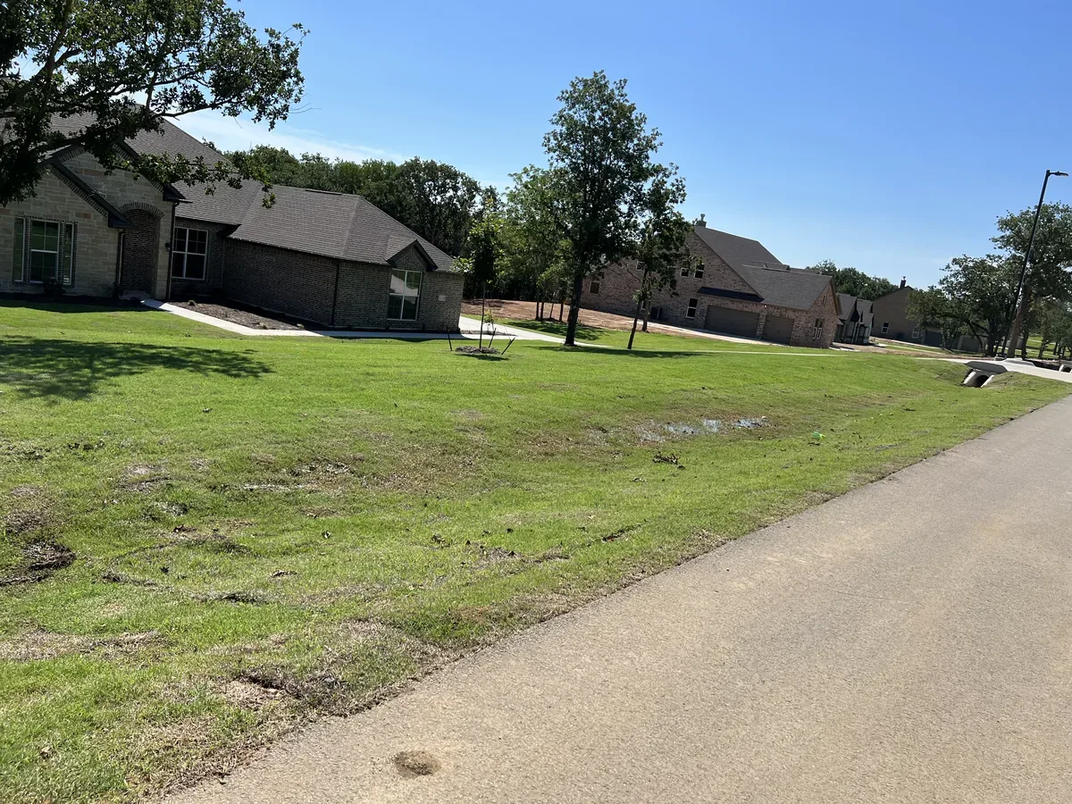Mowed grass strip along a neighborhood roadside