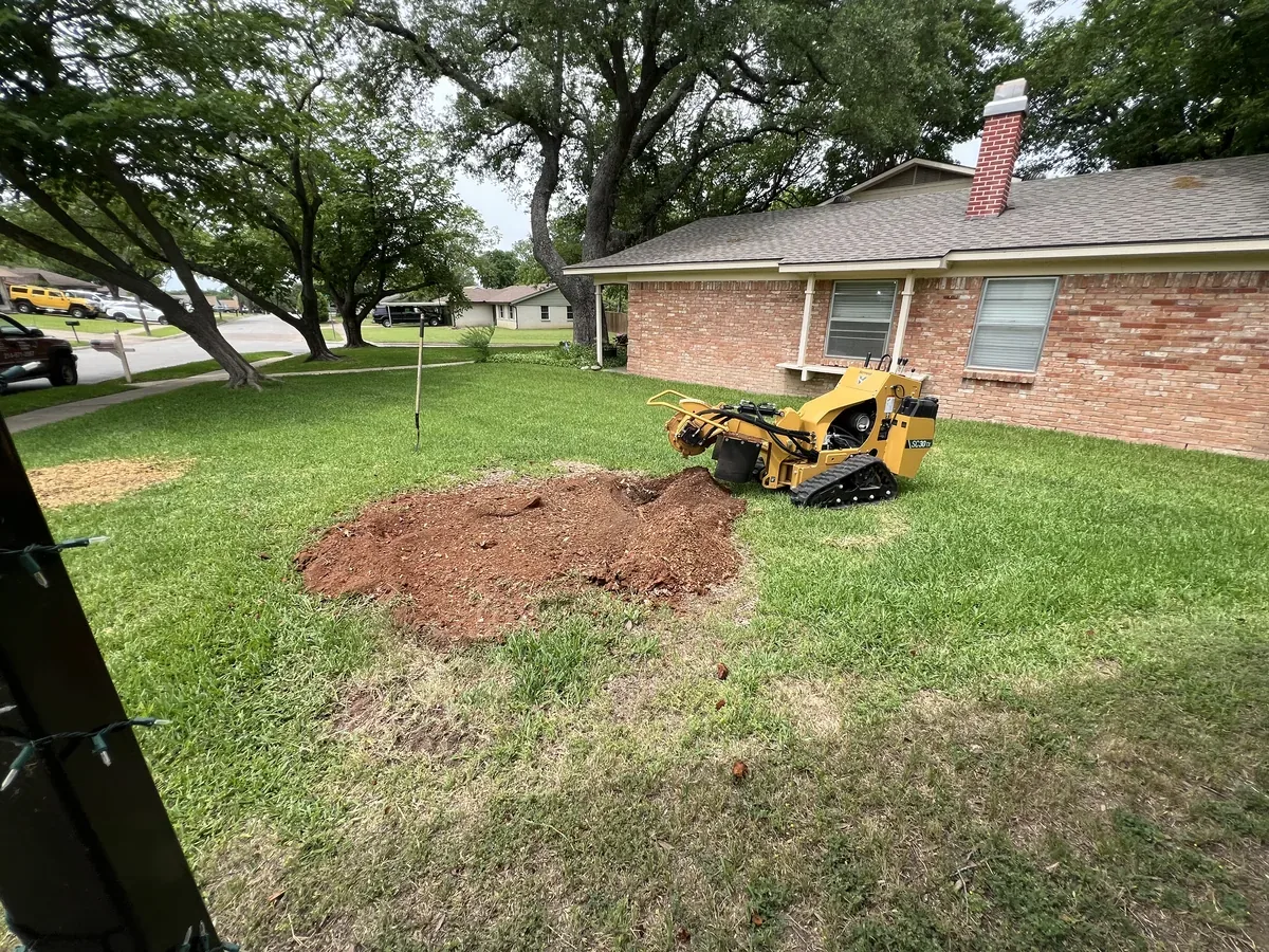 Freshly ground stump area in a residential yard with the grinder nearby